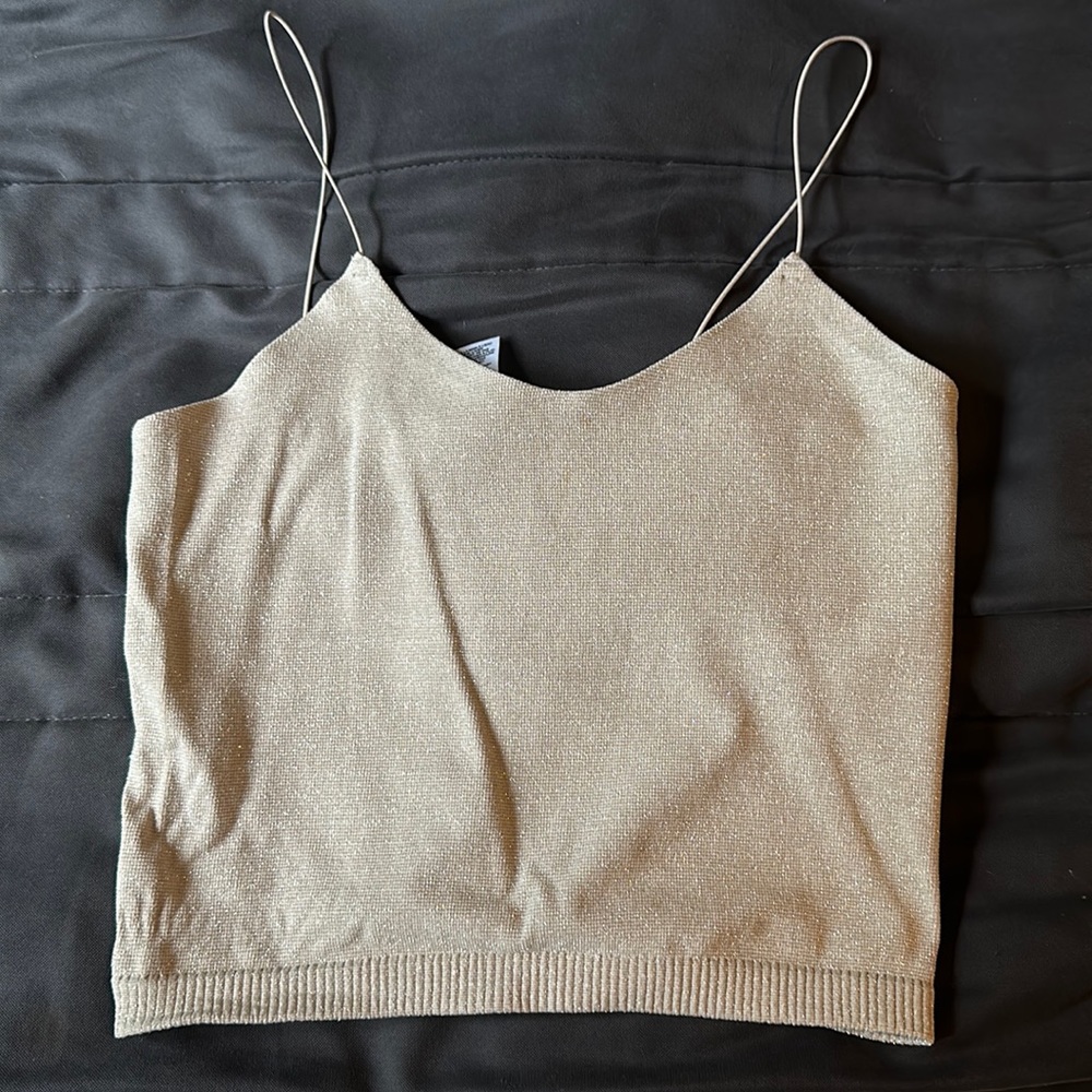 Dynamite Beige Shiny Crop Top